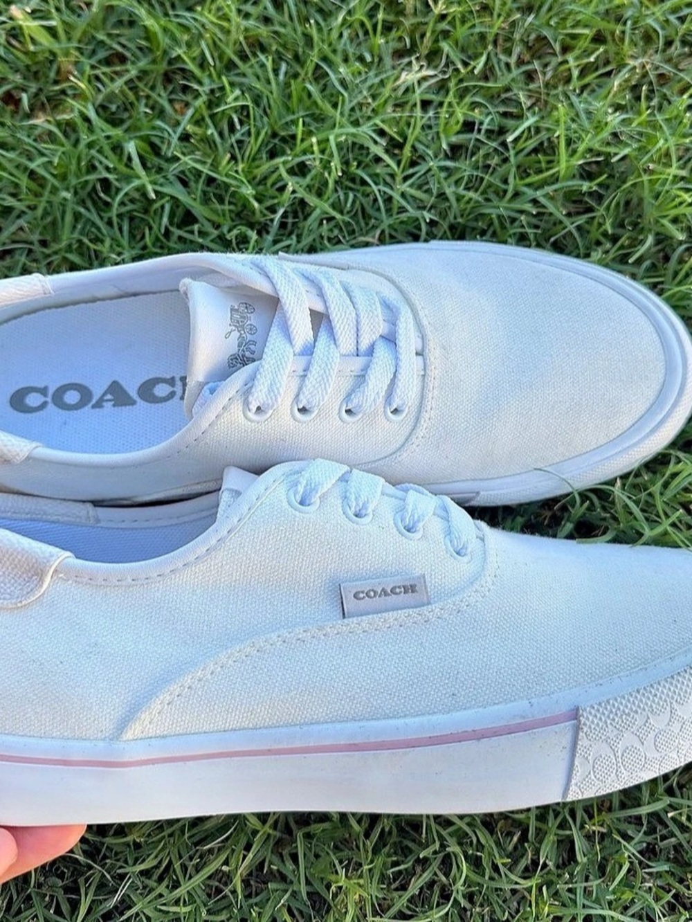 Coach Citysole Skate Sneaker White Color Block Size 6